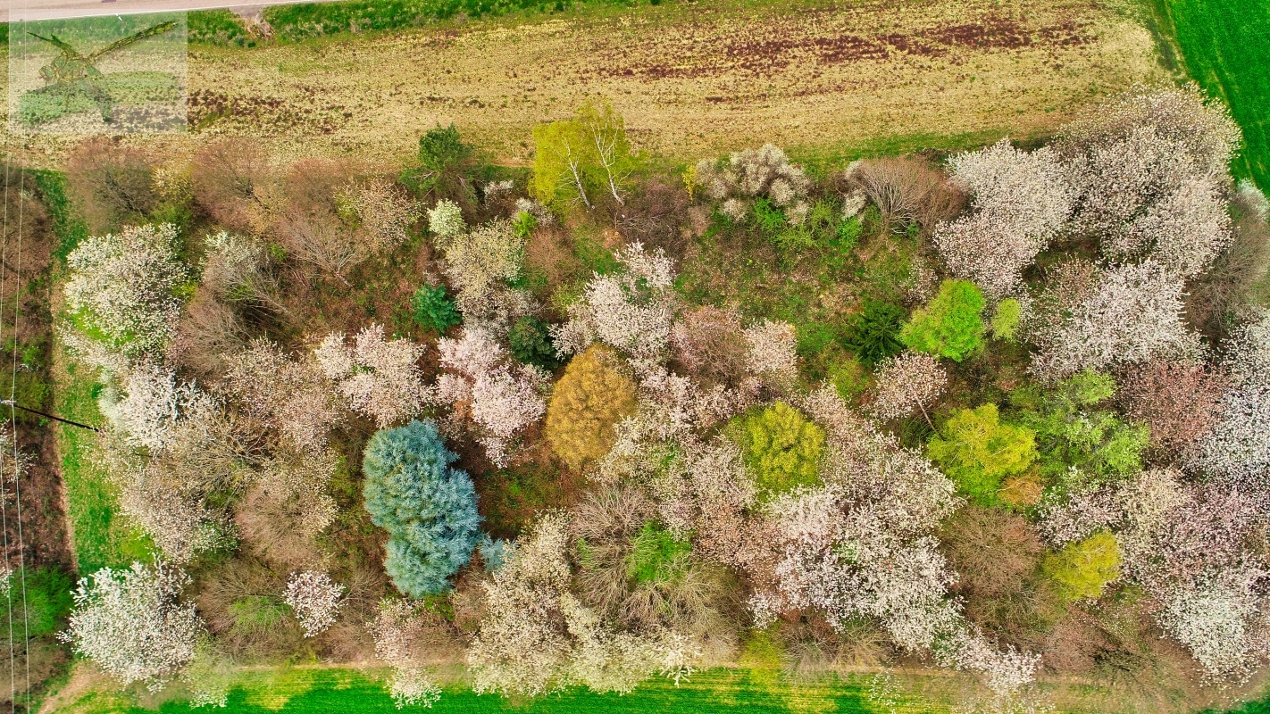 14april19-DJI_0087