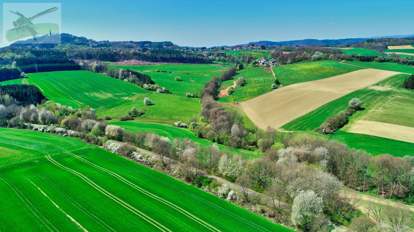 20apr19-DJI_0608