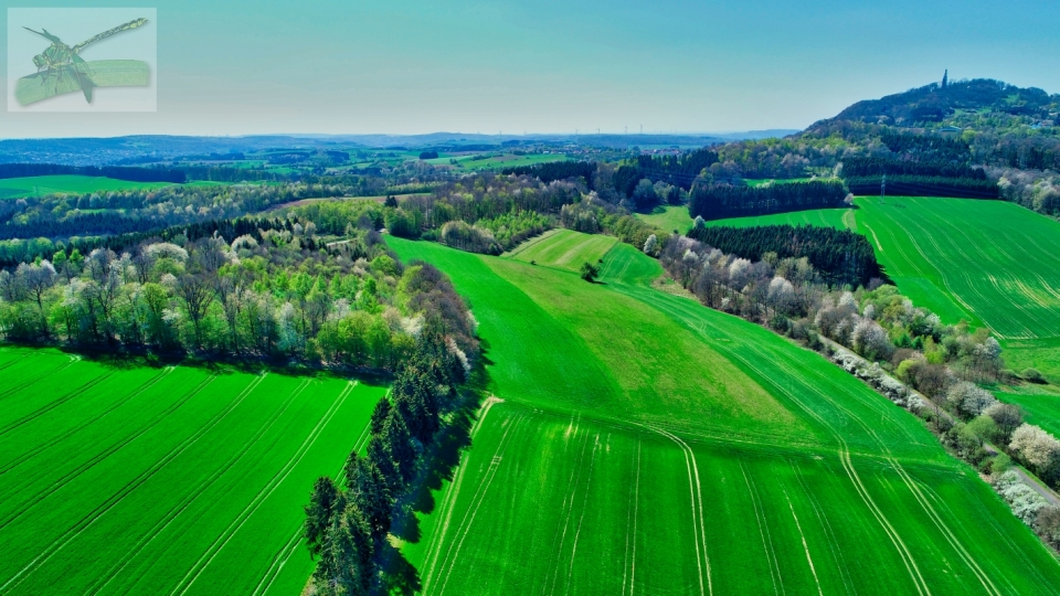 20apr19-DJI_0620