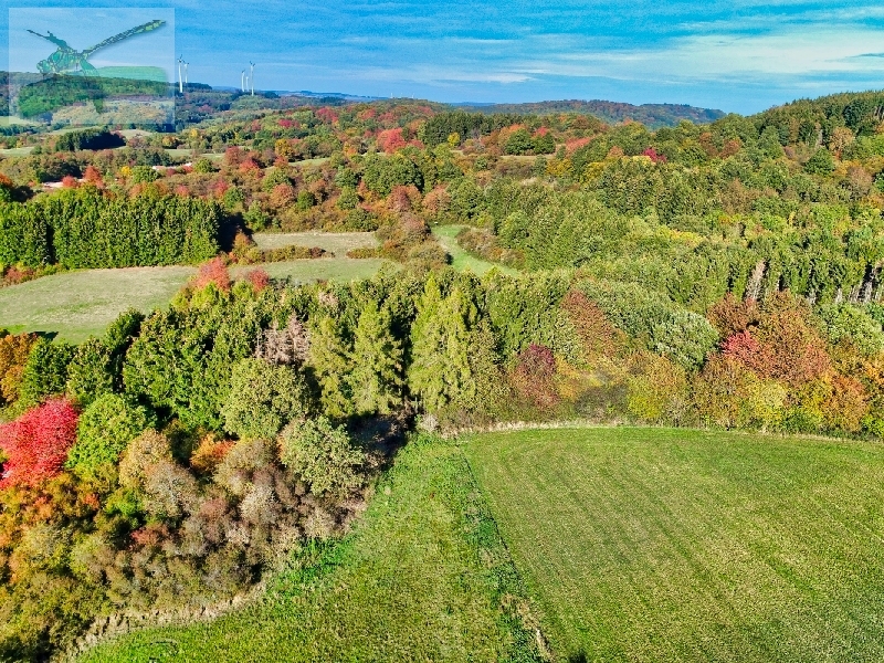 11okt2018DJI_0990