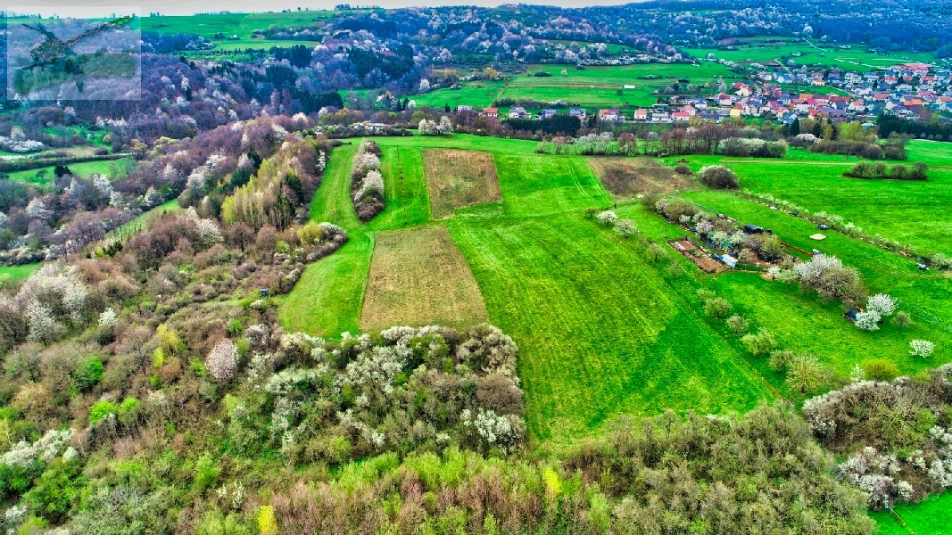13april2019DJI_0104