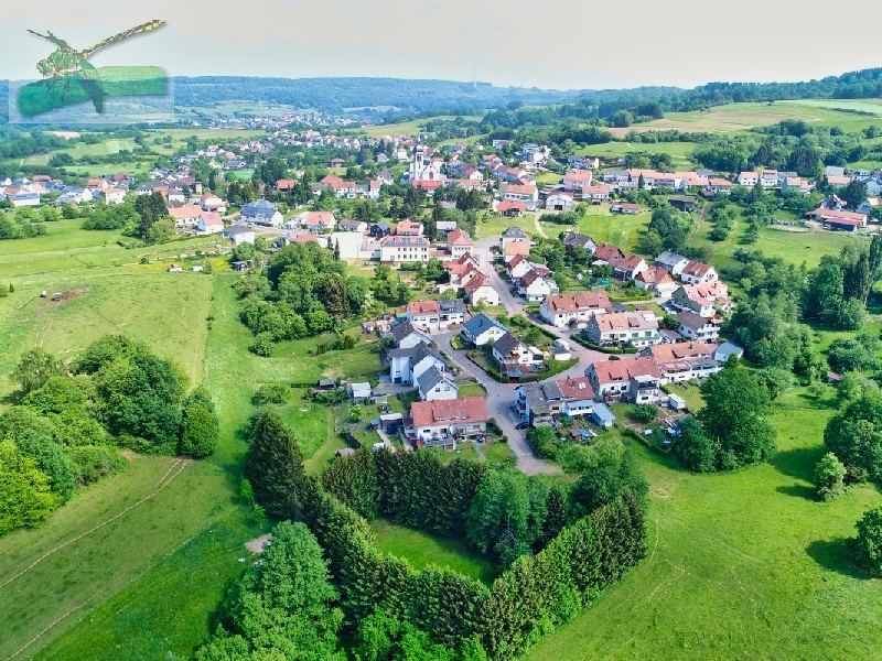 19mai2018DJI_0992