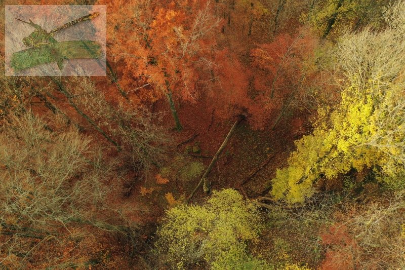 23Nov.19 bei Büschfeld